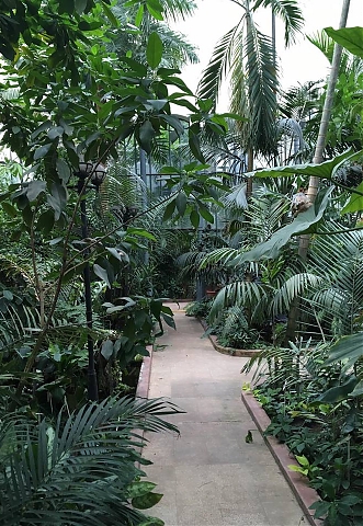 botanic garden